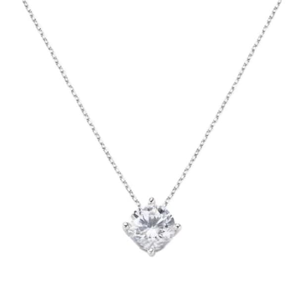 Damhalsband Amen CLSO80BB