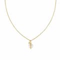 Miniatyrbild 4 av 4: Damhalsband Tommy Hilfiger 2780762 50 cm
