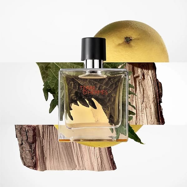 Hermes Terre d'Hermes Edt 50ml