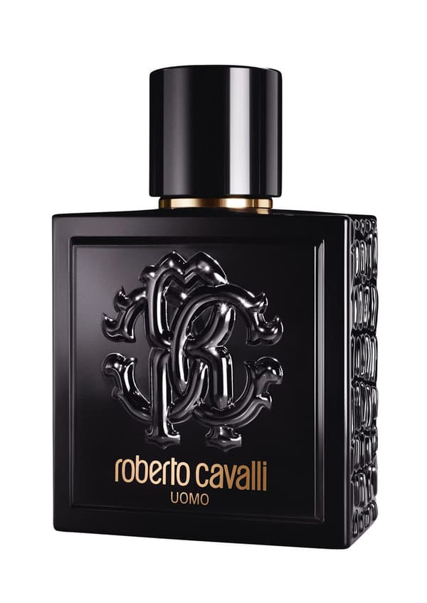 Roberto Cavalli Uomo edt 100ml
