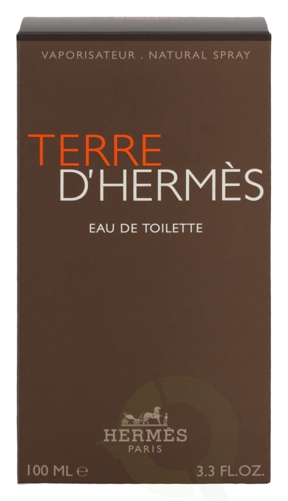 Hermes Terre D'Hermes Edt Spray 100 ml