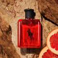 Miniatyrbilde 3 av 3: Ralph Lauren Polo Red For Men Edt 75ml