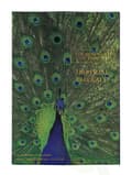 Miniatyrbilde 5 av 5: The Merchant of Venice Imperial Emerald Edp Spray 100 ml