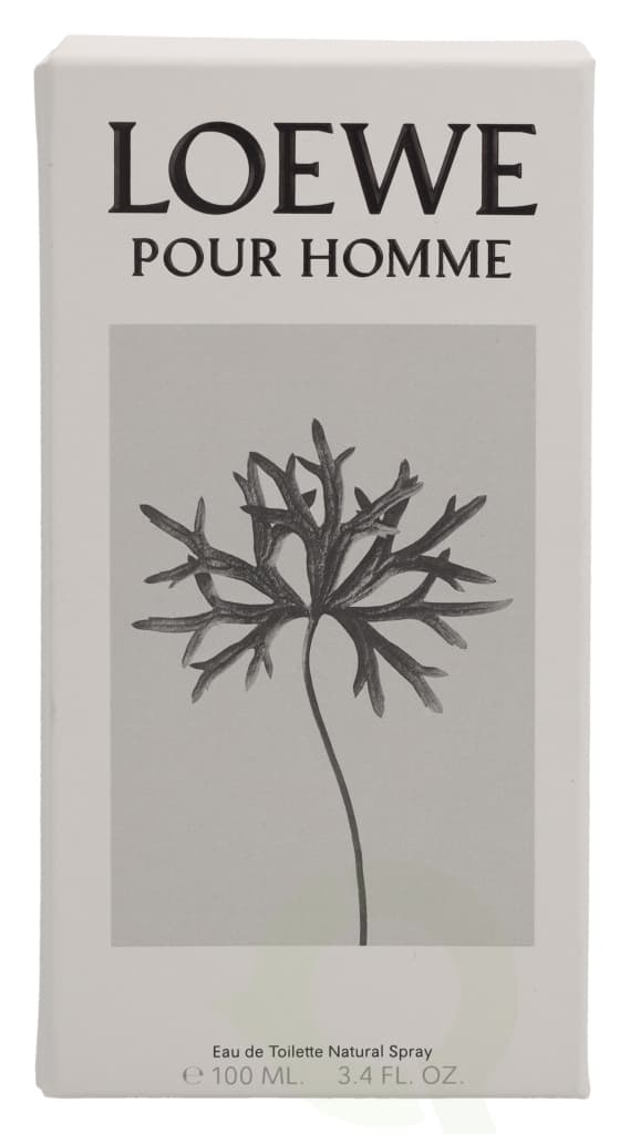 Loewe Pour Homme Edt Spray 100 ml