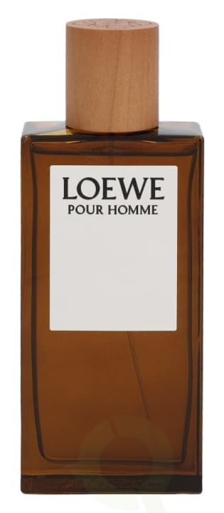 Loewe Pour Homme Edt Spray 100 ml