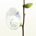Miniatyrbilde 7 av 8: Issey Miyake A Drop d'Issey Edp 50ml