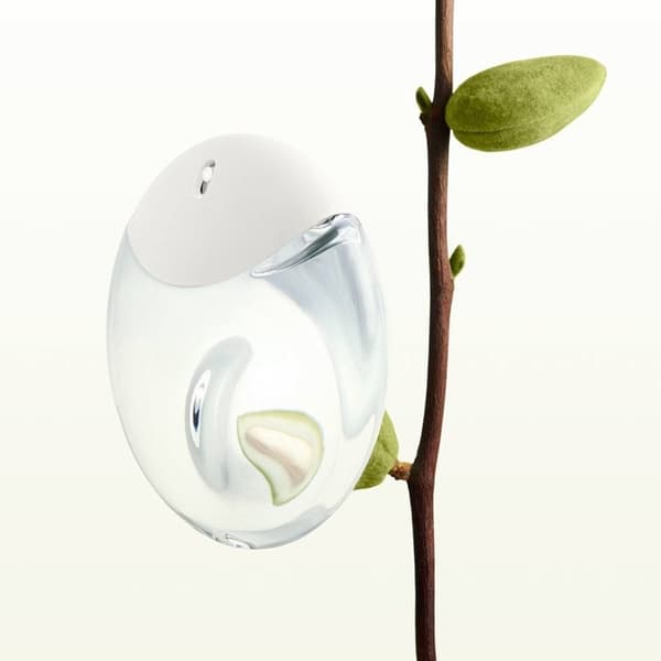 Issey Miyake A Drop d'Issey Edp 50ml