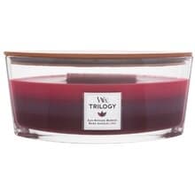 WoodWick - Sun Ripened Berries Trilogy Ship (berry ripening in the sun) - Scented candle 453.6g