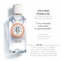 Miniatyrbild 2 av 2: Parfym Unisex Roger & Gallet Amande Persane EDP 100 ml