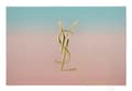 Miniatyrbilde 5 av 5: Yves Saint Laurent YSL Black Opium Giftset 60 ml Edp Spray 50ml/Edp Spray 10ml/Mirror