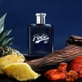 Miniatyrbilde 2 av 5: Ralph Lauren Polo 67 Edp 75ml