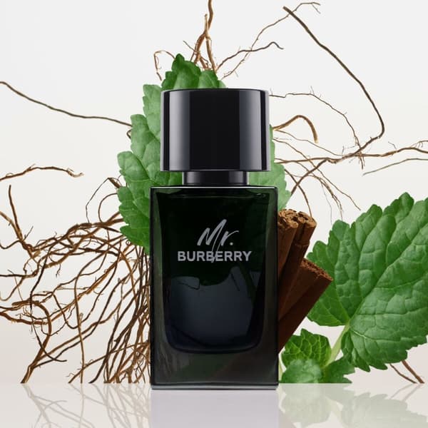 Parfym Herrar Burberry Mr. Burberry 100 ml