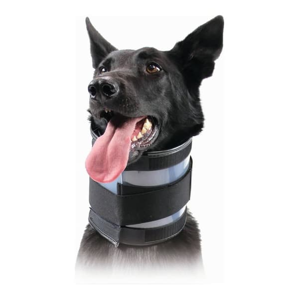 Kaulatuki koiralle KVP Musta (18-53 cm)