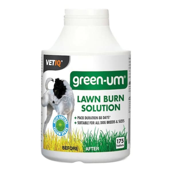 Tabletit Planet Line Green Um 100 osaa