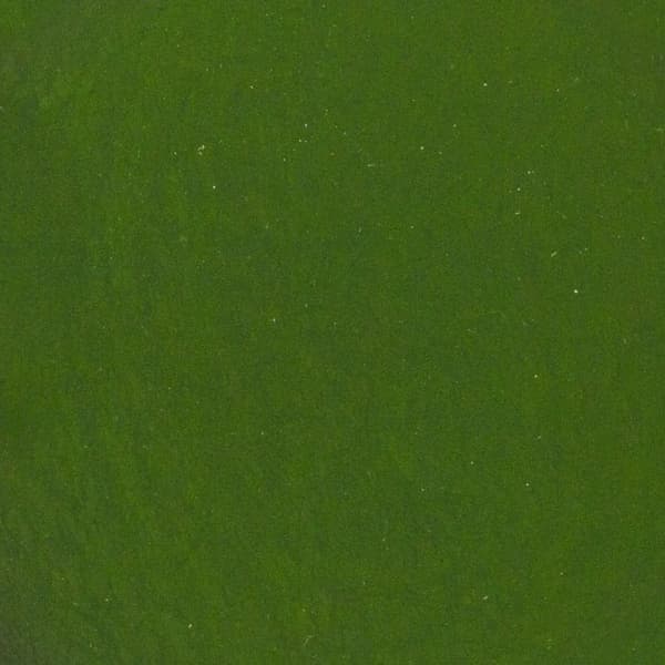 Spirulinajauhe 500 g