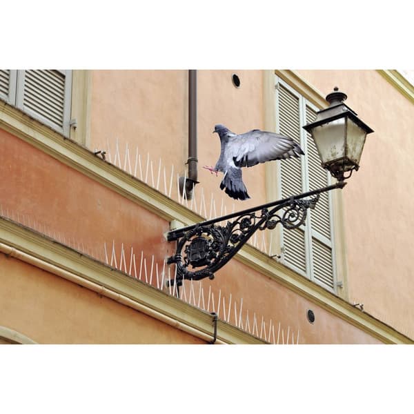Swissinno Natural Control Birds Away Spikes skydd mot duvor Funktionstyp Avskräckande 1 st