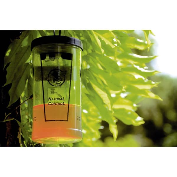 Swissinno Natural Control outdoor 1 343 001K Lockmedel Getingfälla Gul (transparent) 1 st