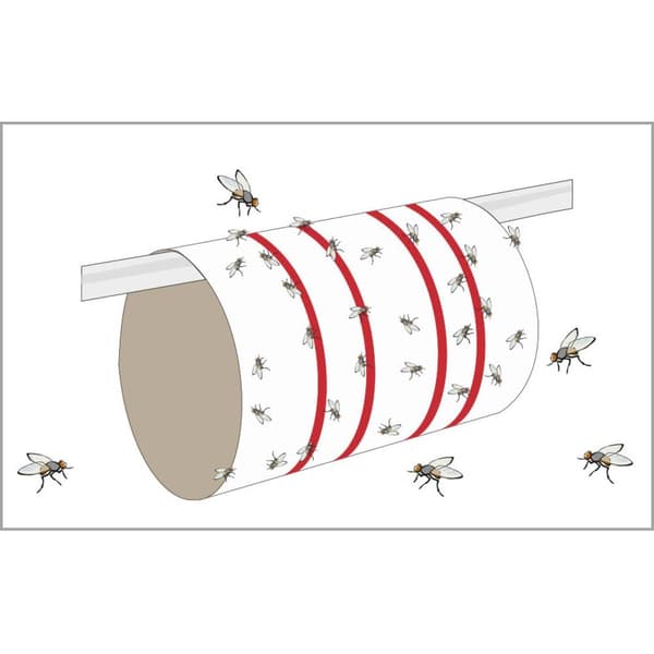 Redtop Fliegenbogen 31091 Limfilm, Lockmedel Flugfälla (L x B) 600 mm x 345 mm Gul 6 st