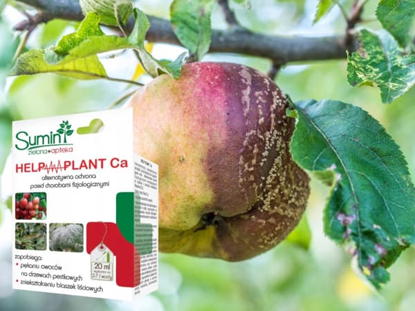 SUMIN HELP PLANT CA kalsiumin puutos kasveissa 20 g