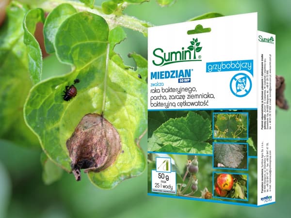 SUMIN MIEDZIAN 50 WP svampemiddel mod sart sygdom 50 g
