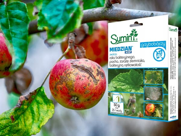 SUMIN MIEDZIAN 50 WP svampemiddel mod sart sygdom 50 g