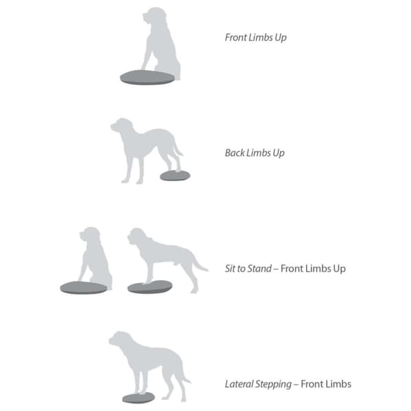 FitPAWS Balansplatta för hund 56 cm blå