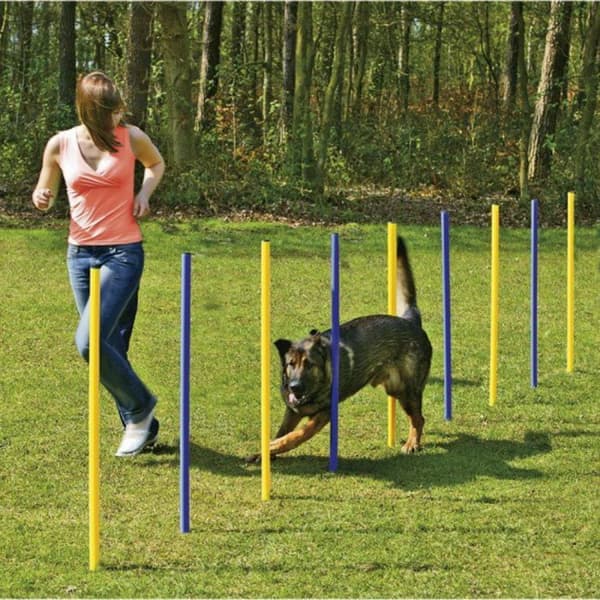 TOPMAST AGILITY SLALOM SET 6 POLAR