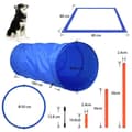 Miniatyrbild 2 av 4: XMTECH Dog Hinder Set Pet Agility Träningsutrustning Justerbara hinder