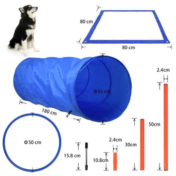 XMTECH Dog Hinder Set Pet Agility Träningsutrustning Justerbara hinder