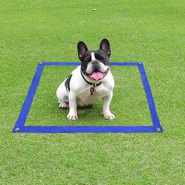 YUENFONG Dog Agility Utrustningsset, tunnelhinderträning för hundar och husdjur