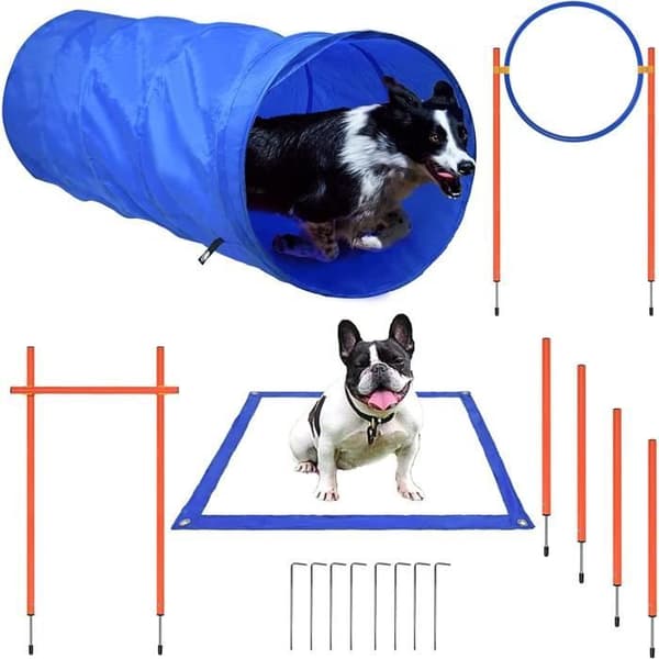 YUENFONG Dog Agility Utrustningsset, tunnelhinderträning för hundar och husdjur