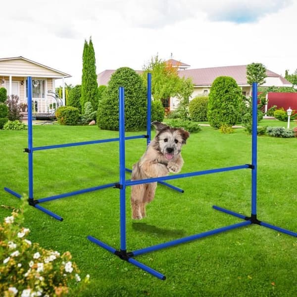 Agility Set för husdjur, Set med 4 Agility Bars för hundträningsutrustning, Justerbar höjd, Agility Sport