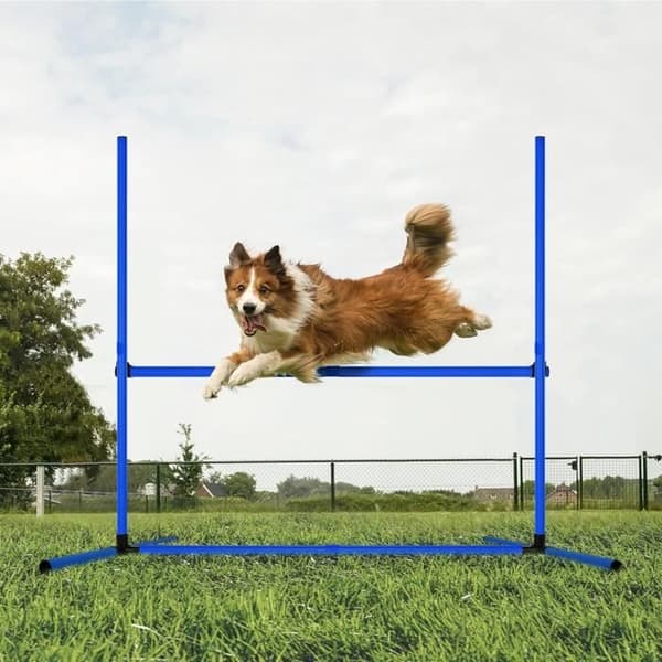 Agility Set för husdjur, Set med 4 Agility Bars för hundträningsutrustning, Justerbar höjd, Agility Sport
