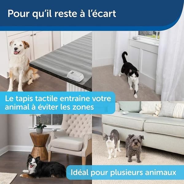 PetSafe® - ScatMat® - Elektronisk träningsmatta för inomhusbruk, stor, 120 cm x 50 cm