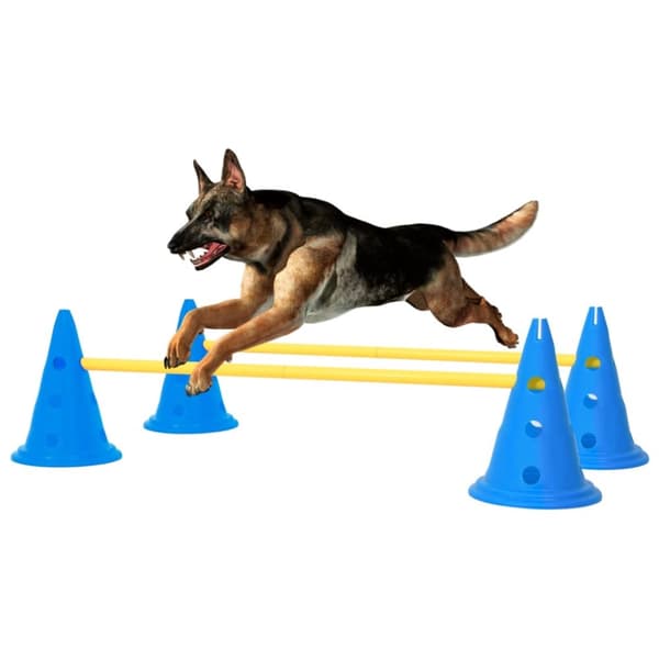 Hundhinder blå och gul