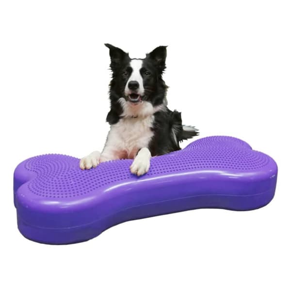 Balansplatta för husdjur Giant K9FITbone PVC lila