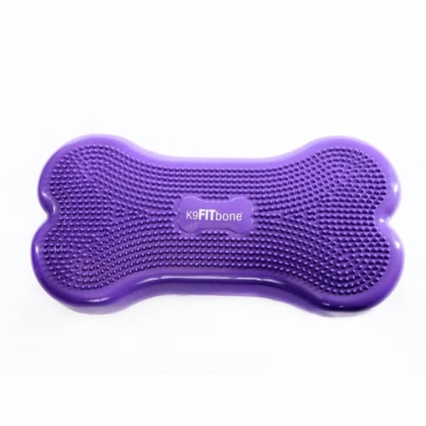 Balansplatta för husdjur Giant K9FITbone PVC lila