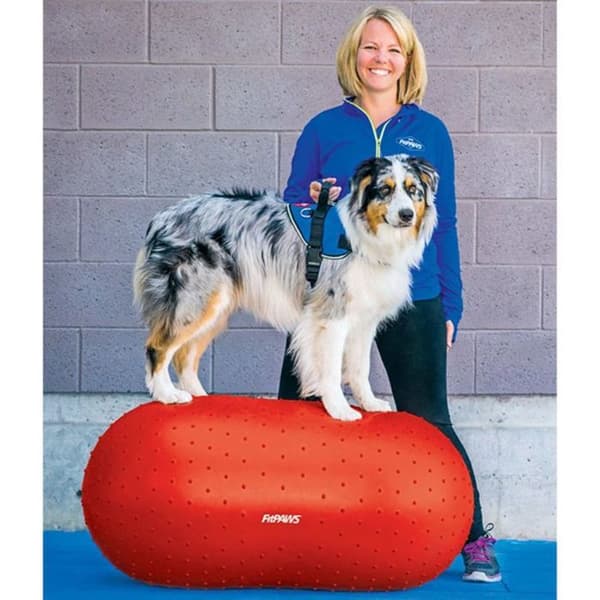 Träningsutrustning - Fitpaws agilityutrustning - IFPKTPRD50 - Traxpeanut Träningstillbehör för hundar 50 cm