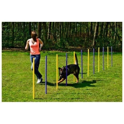Slalom för Agility - Hund - 12 barer - Höjd 100 cm - Avstånd 50-65 cm - Nedgravningsbara pålar