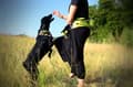 Pikkukuva 10 / 11: TRUELOVE TREK GO koiran juoksuvyö