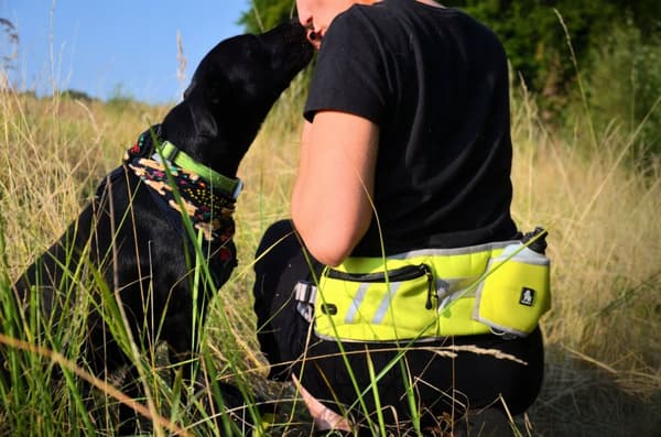 TRUELOVE TREK GO koiran juoksuvyö