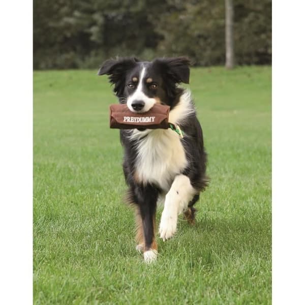 TRIXIE Hundaktivitet Preydummy hundleksak ø 6 × 14 cm