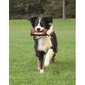 Miniatyrbild 1 av 2: TRIXIE Hundaktivitet Preydummy hundleksak ø 6 × 14 cm