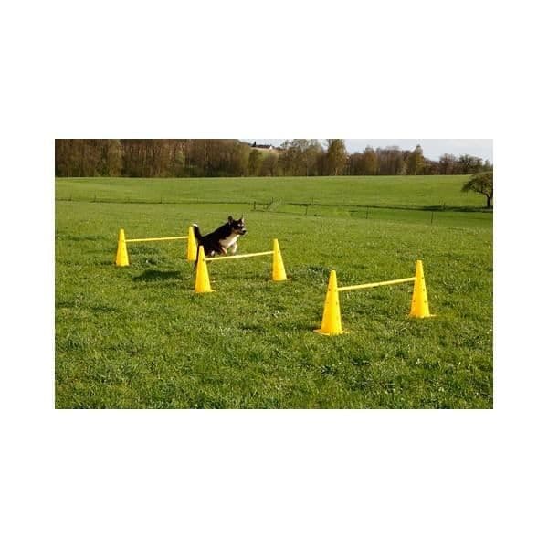 Agility-hinderkeglar - Kerbl - 81994 - Gul - 6 keglar - 3 justerbara stänger