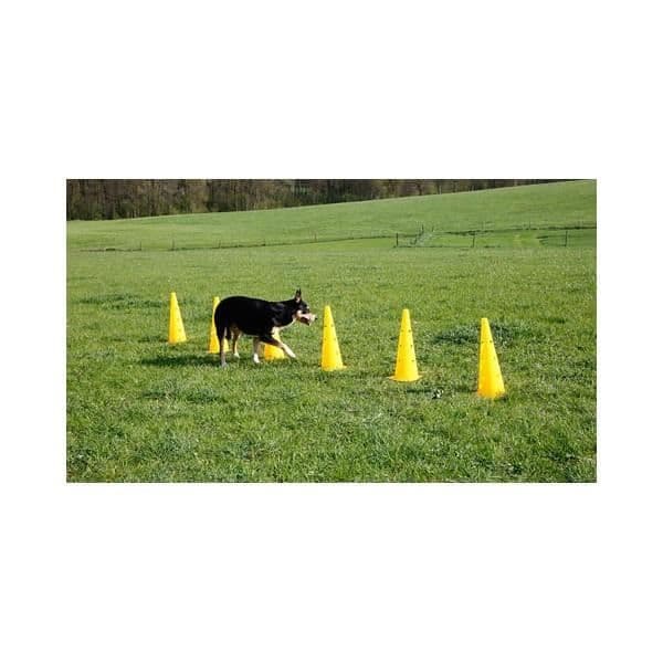 Agility-hinderkeglar - Kerbl - 81994 - Gul - 6 keglar - 3 justerbara stänger