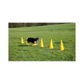 Miniatyrbild 4 av 4: Agility-hinderkeglar - Kerbl - 81994 - Gul - 6 keglar - 3 justerbara stänger