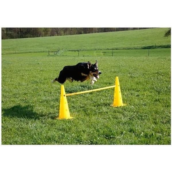 Agility-hinderkeglar - Kerbl - 81994 - Gul - 6 keglar - 3 justerbara stänger