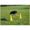 Miniatyrbild 1 av 4: Agility-hinderkeglar - Kerbl - 81994 - Gul - 6 keglar - 3 justerbara stänger