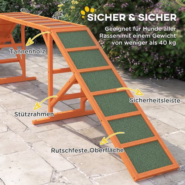 Hunde Agility Udstyr, 325x55x69 cm, Orange