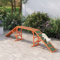 Miniatyrbillede 2 af 9: Hunde Agility Udstyr, 325x55x69 cm, Orange